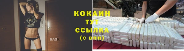 гашик Куйбышев