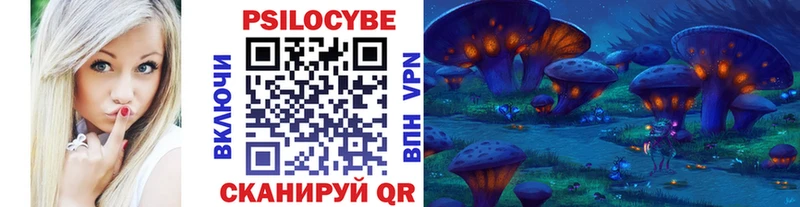 Галлюциногенные грибы Psilocybe  Купить закладки  Прохладный 